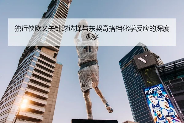 独行侠欧文关键球选择与东契奇搭档化学反应的深度观察
